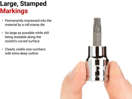 TEKTON 3/8 Inch Drive x T40 Torx Bit Socket | SHB14240