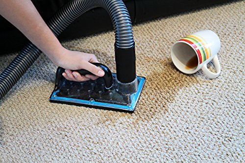 Sub Surface Extraction Tool 1 Pack – StainOut System SOS Tool for Carpet Odor Removal