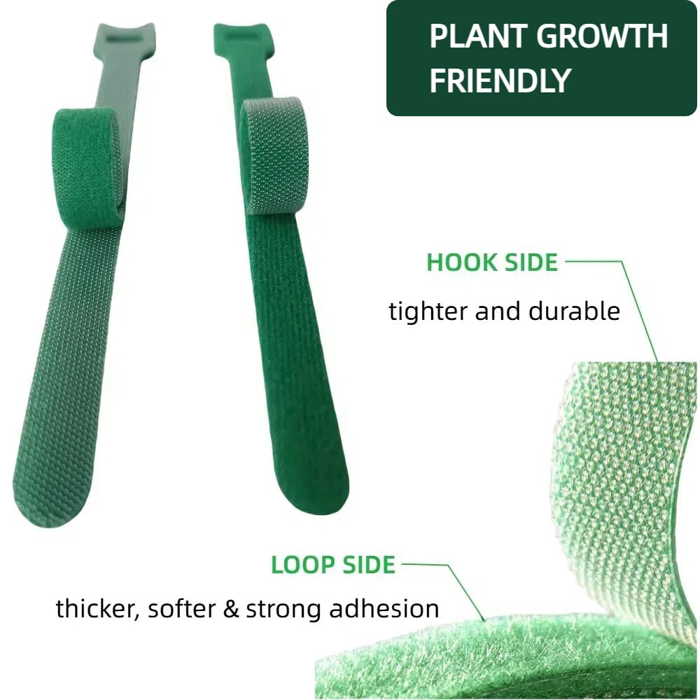 CHZKVOY, Green, Reusable, 100PCS, 6 - Inch Adjustable Anti - Slip Nylon Plant Ties & Straps Featuring Hook and Loop Fasteners - Optimal for Climbing Plants Support and Christmas Garland Ties