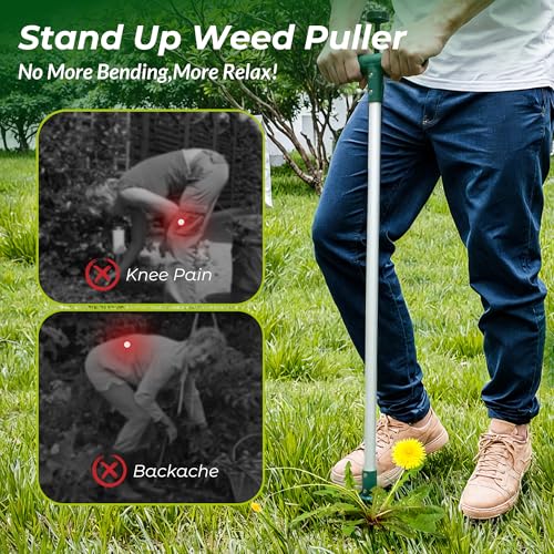 Walensee Long Handle Weed Puller with 3 Claws - Stand Up Garden Weeding Tool