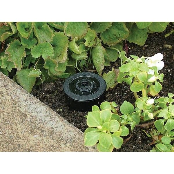 Black Sprinkler Key Hider - Lockout & Fire Safety Accessory, 3.75 Inch