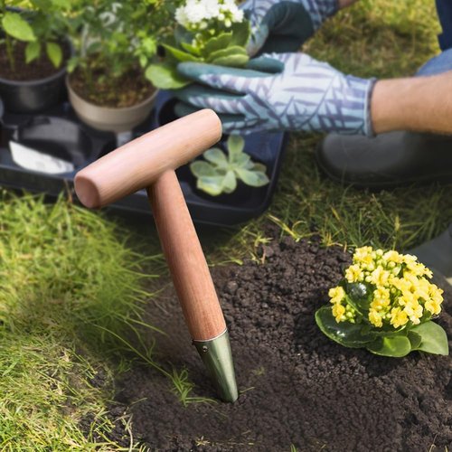 Plant Hole Digger for Planting 2025 New Pointed Soil Hole Digging for Sowing Seeds, Handheld Garden Seed Planter Tool for Flowers Vegetables Seed Dispenser - T Shaped Handle - Easy to Drill Holes