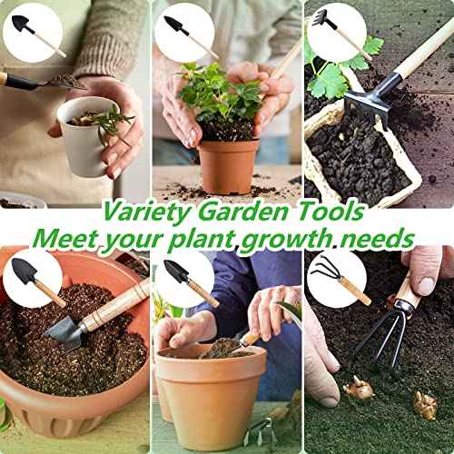 Small Garden Tool Set, 6 Pieces Iron Gardening Kit Including Hand Shovel, Transplant Shovel and Hand Rake with Wood Non-Slip Handle Perfect for Plant Lovers