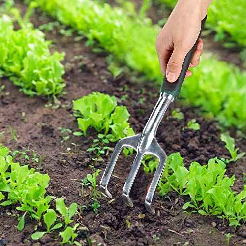 Mr. Pen Black Mini Hand Rake, Hand Cultivator, Garden Tool, 3 Prong Garden Rake, Manual Operation, Metal, Great for Weeding and Turning Soil