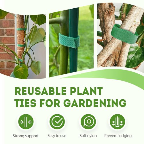 Reusable Plant Ties Tape for Climbing Plants,Tape Strap for Climbing Plants to Support Plants, Vines, Tomatoes Reusable Gardening (Green 1pc)