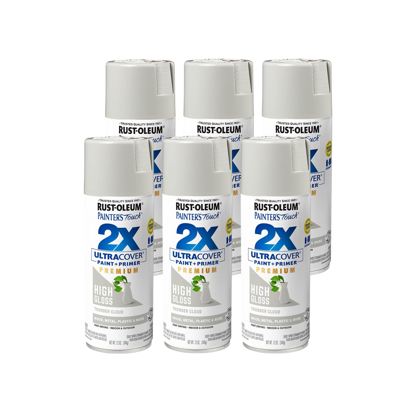Rust-Oleum 355060-6PK Painter's Touch 2X Ultra Cover Spray Paint, 12 oz, High Gloss Thunder Cloud, 6 Pack