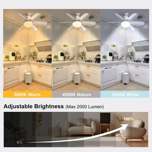 QIHANS 2 in 1 Socket Ceiling Fan with Light, 20.5 inch Screw in Small Ceiling Fans, E26/E27 Base Dimmable Light Socket Fan, 3000-6500K LED Light Bulb with Remote for Bedroom Kitchen Garage