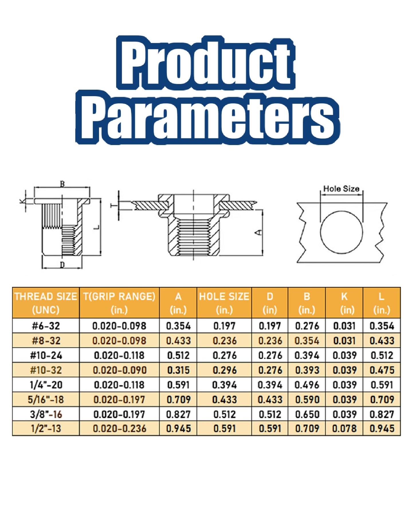 SAE Rivet Nut Assortment Kit 505Pcs 6-32 8-32 10-24,1/4-20, 3/8-16, 5/16-18,1/2-13 304 Stainless Steel Flat Head Threaded Rivet Insert Rivet Nuts
