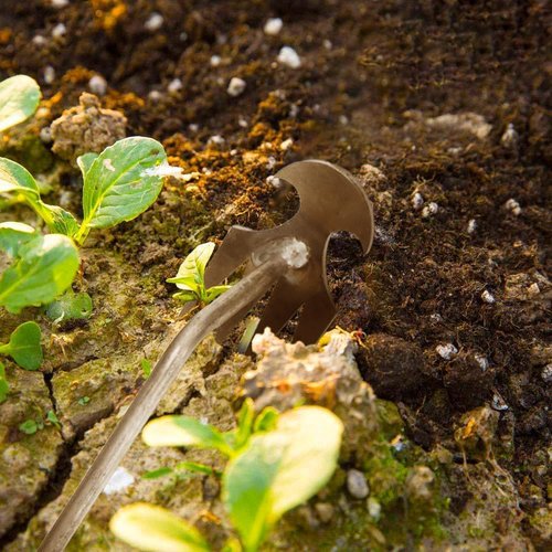 Gardenia Uprooting Tool, Gardinia Uprooting Tool, Gardenia Iron Weeding Rake, Manual Weed Puller Tool for Lawn and Garden, 4 Tooth Manganese Steel for Gardening Backyard Farm (Black-11.8 In)