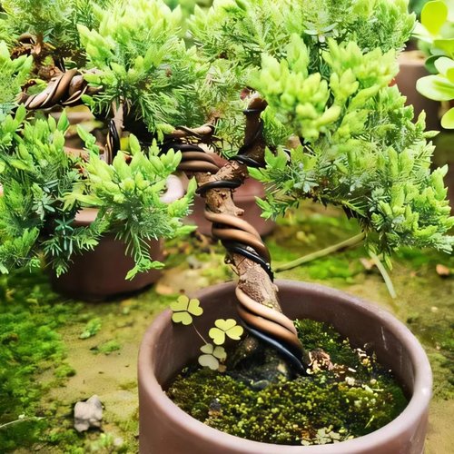 Riboud Bonsai Training Wire, Aluminum Bonsai Wire for Crafts 5-Size Starter Set - 1.0mm, 1.5mm, 2.0mm, 2.5mm, 3.0mm (161 feet Total, Brown)