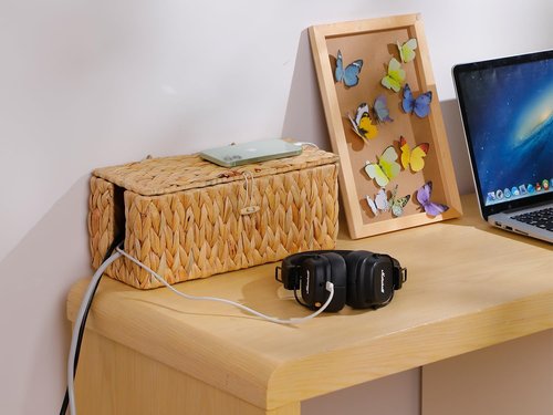 Coeusy Cable Management Box,Hand-Woven Water Hyacinth Decorative Cord Organizer,2 Side Open Slots Wicker Cable Box to Hide Cords and Power Strip,for Desk, Floor, Office,2 Pack