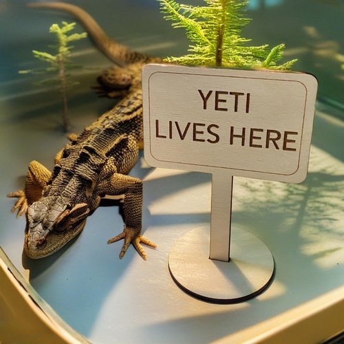 Personalized Reptile Signs,Wooden Name Plates for Bearded Dragons & Reptiles, Customizable Pet House Signs, Gift for Reptile Enthusiasts,Pet Name Signs, Set of 2