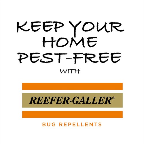 Reefer-Galler NO-Moth Closet Hanger Refills - Moth Cakes for Hanger Storage, Non-Odorous Moth Cakes for Closet, Kills Clothes Moths, Carpet Beetles, Eggs & Larvae (2 Moth Cakes, Pack of 3)