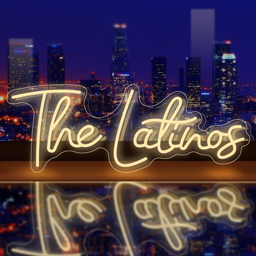 Custom Neon Signs, Custom LED Neon Lights Sign, Personalized LED Neon Sign for Wedding Birthday Gifts Party Bedroom Bar Salon Shop Business Logo Festival Celebration Decoration