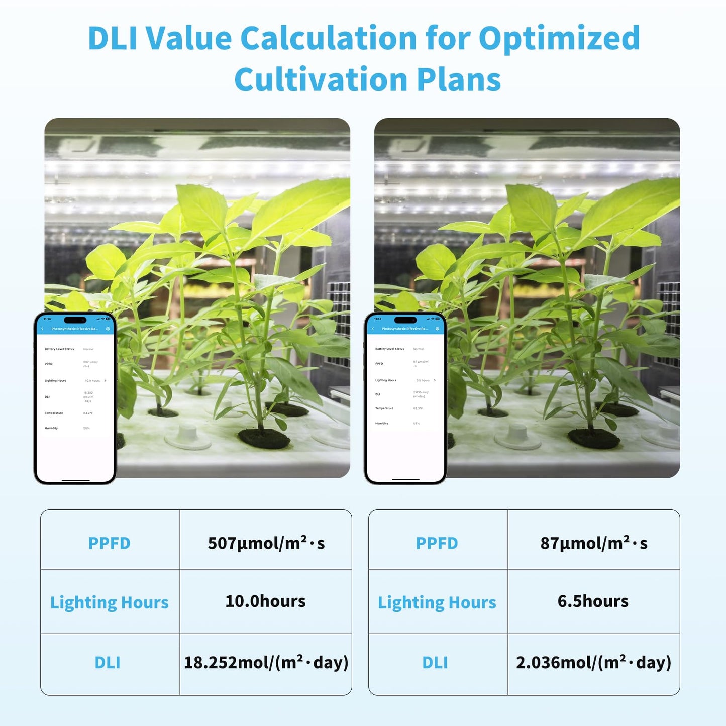 PAR Meter PPFD Recording, for LED Growth Light 400-700nm, DLI Calculator, Convenient Bluetooth Connection to Your Phone, for Grow Tents, Greenhouses, Agriculture