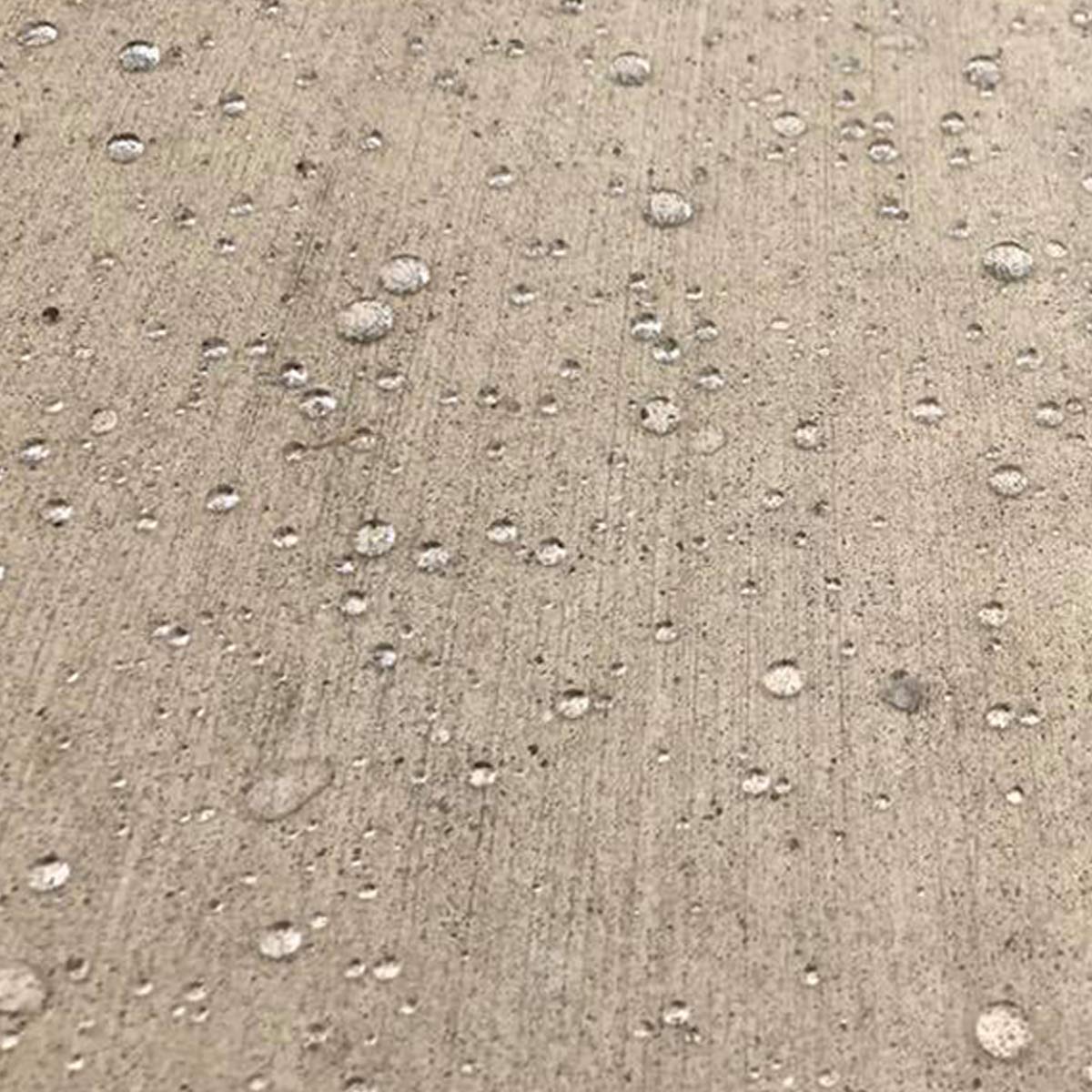 Eco Advance Concrete/Masonry Siloxane Odorless Spray-On Application Waterproofer, Safe for Use Around Plants, Pets, and People, 1 Gallon