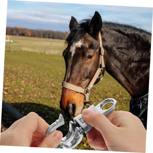 Housoutil 3pcs Snap Swivel Quick Release Shackle 102mm Hook Lock for Horse Riding Accessory