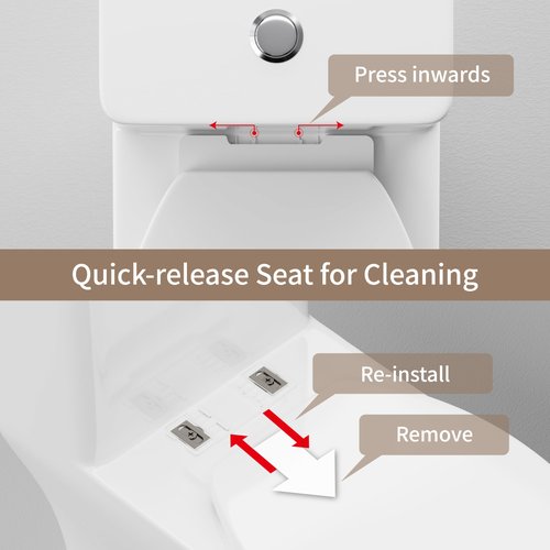 CANEST Compact One Piece Toilet for Bathrooms, 17.5" ADA Height Elongated Toilet with MAP 1000g Power Flush, Quiet Soft Close Seat, Standard 12" Rough-In, Easy Clean Ceramic Small Toilet