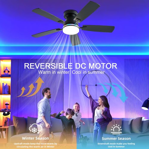 Ayaoty Ceiling Fans with Lights, 48 inch Low Profile Ceiling Fan with Light and Remote Control, Flush Mount RGB Dimmable Light, Noiseless, Black Ceiling Fan for Bedroom Indoor/Outdoor Use