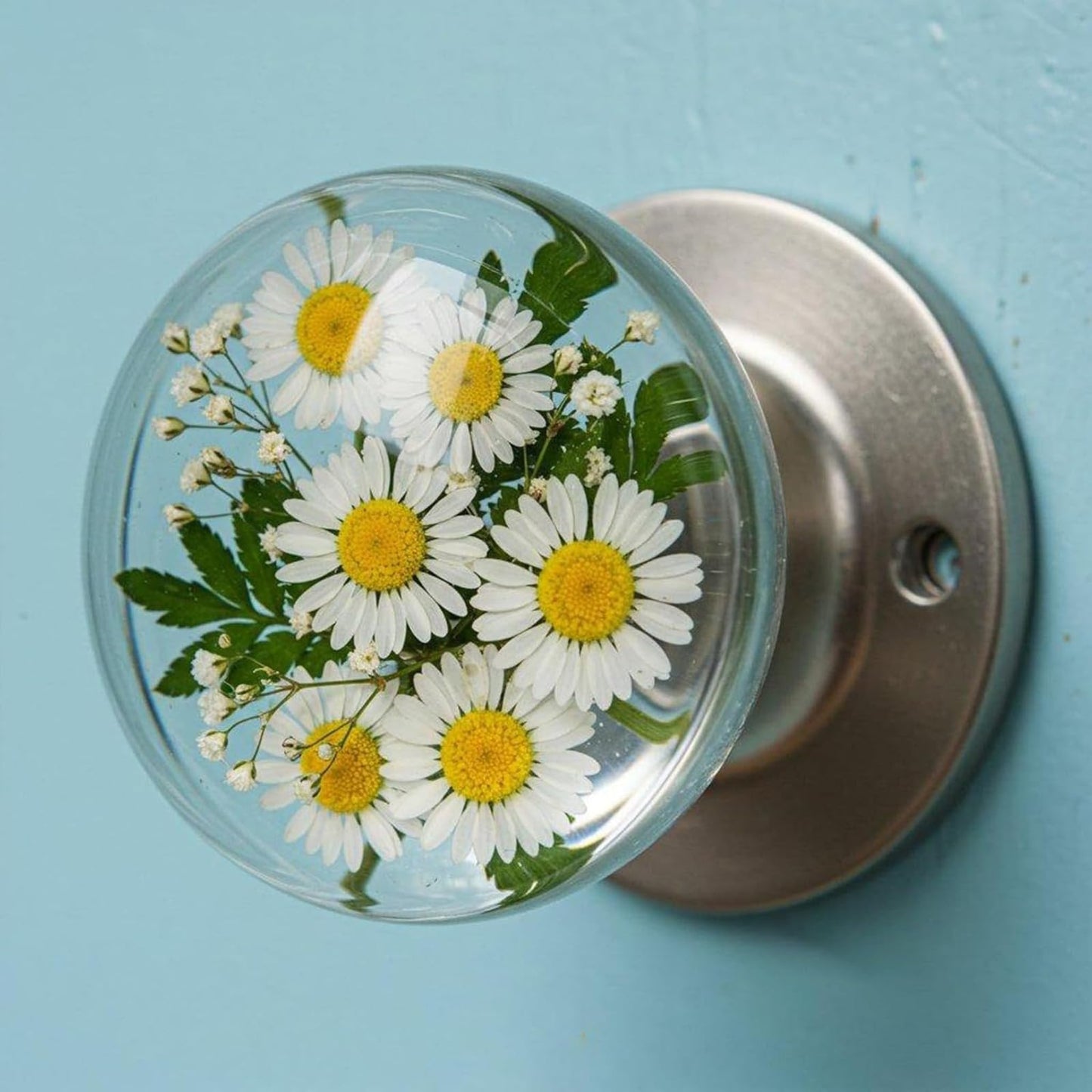 Unique Decorative Door Handle, Retro Round Resin Epoxy Flower Door Knob Retro, Floral & Animal Designs, Artistic Unique Knob for Modern/Classic Bedrooms, Nature-Themed Home Decor (Turtle)