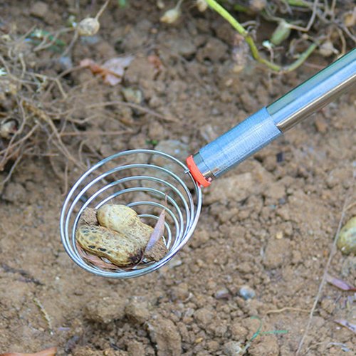 Stainless Steel Nut Collector Picker Upper with Long Handle, Detachable Grabber Tool for Collecting Walnuts, Pecans, Acorns & Small Fruits