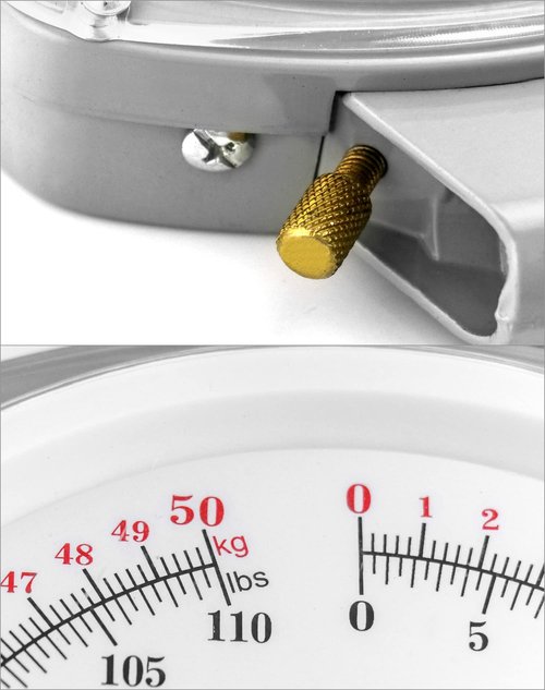 QWORK Precision Hanging Scale, 110lbs / 50kg Capacity, Dual Unit, Heavy Duty
