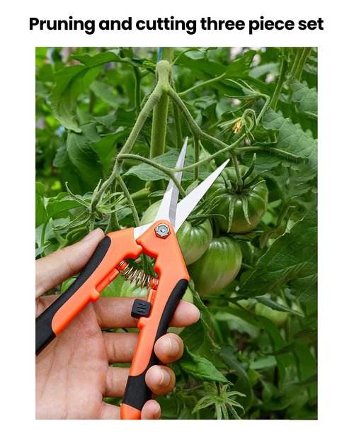 3 PCS Pruning Shears Set, Professional Garden Scissors with Stainless Steel Blades for Plants/Flowers/Small Branches, Orange