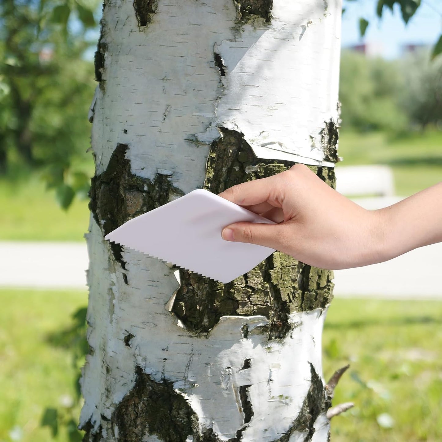 YGHSZ adhesive spreader notched Glue Spreader adhesive barrier spreader plastic trowel notched 3/16 Inch Inch Tooth, Hardwood Flooring Spreader spread epoxy (6 Pack)