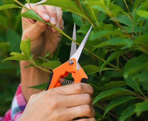 Gardening Scissors Hand Pruner Pruning Shear with Straight Stainless Steel Blades Orange