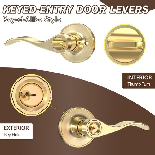 ANSIONLOK Stain Brass Keyed Entry Door Handle, Wave Style Door Lever Lock with 3 Keys & Screwdriver, Interior Exterior Entrance Reversible Door Handles, 1 Pack