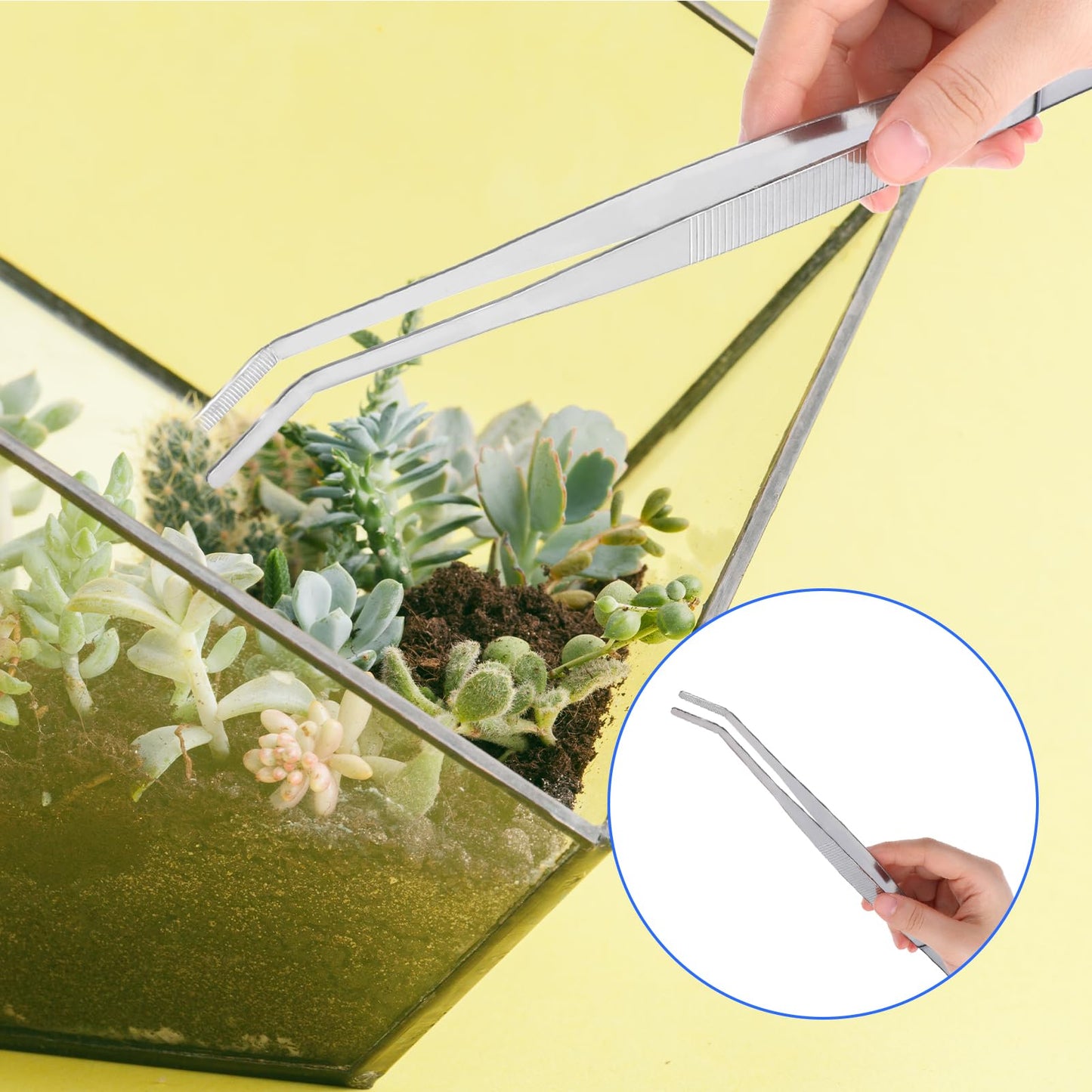 2 PCS 12 Inch Long Handle Tweezers, Straight and Curved Tip Tweezers, Stainless Steel Precision Tweezer Set, Plant Tweezer for Kitchen, Garden, Indoors and Outdoors