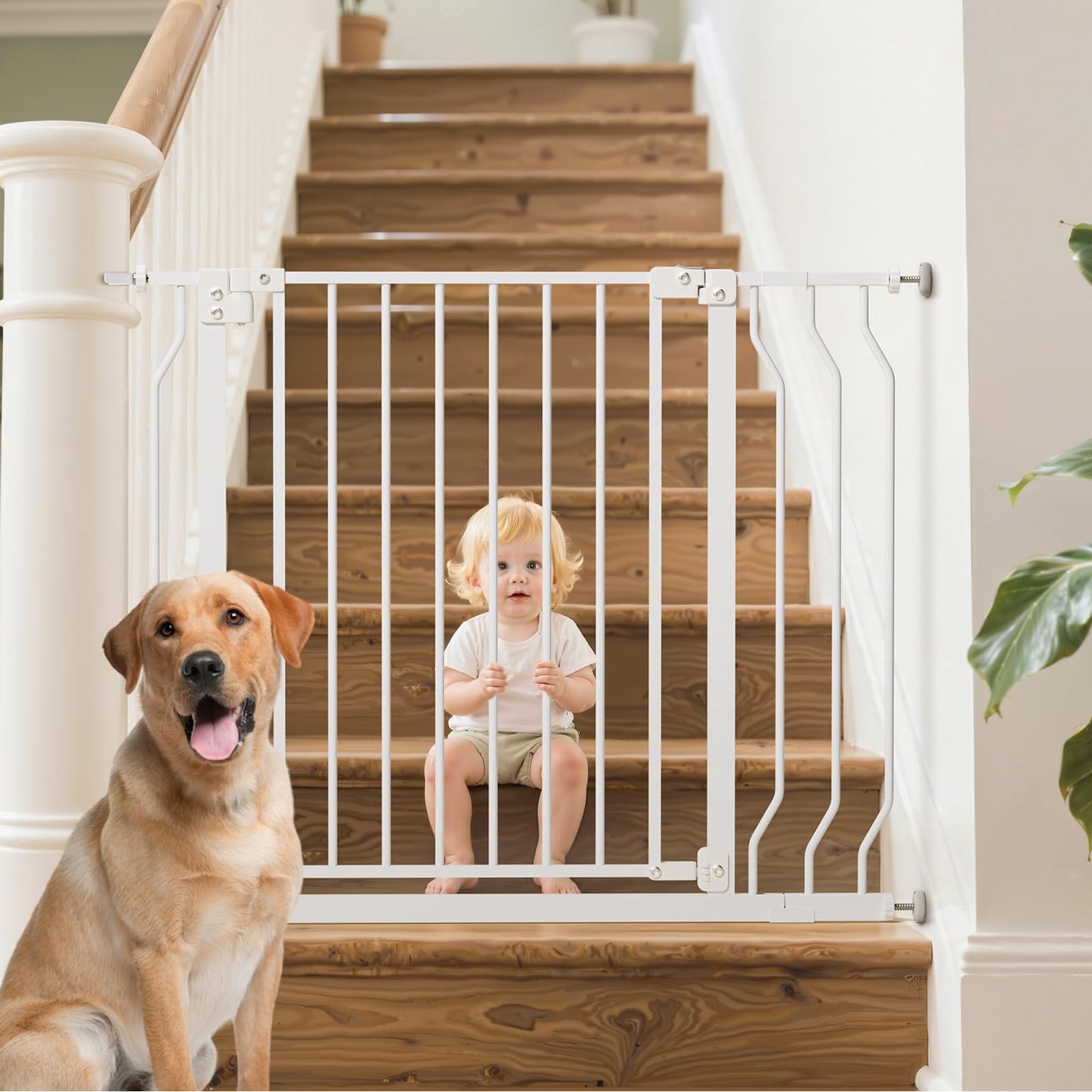 MUTAK 29-43" Baby Gate for Stairs, Baby Safety Essentials, Auto Close Gate for Doorways, Easy Install Pressure Mounted Dog Gate Indoor, Pet Gates for Dogs, White