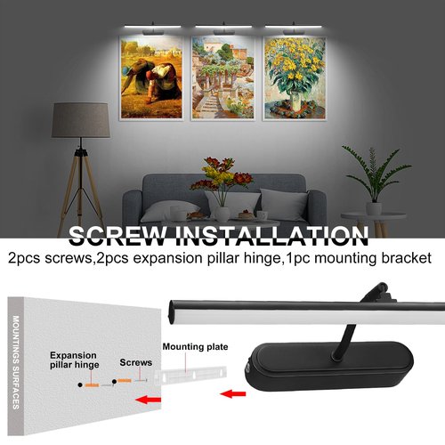 RAIFOOLLY Picture Light,3AA Battery Wall Lights,Wireless Art Lights for Paintings,Remote Control Accent Light with Timer and Dimmable for Frame,Portrait,Mirror-Black