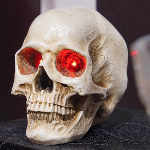 Skeleton Skull Decor Halloween Lights Resin Skull Statues with Red Led Lights 3.5 * 5 * 4.5 Inch,3Pcs Halloween Decoration Indoor Candle Holder 3 x 3.5 x 3.5 InchBraxio (Led Light)