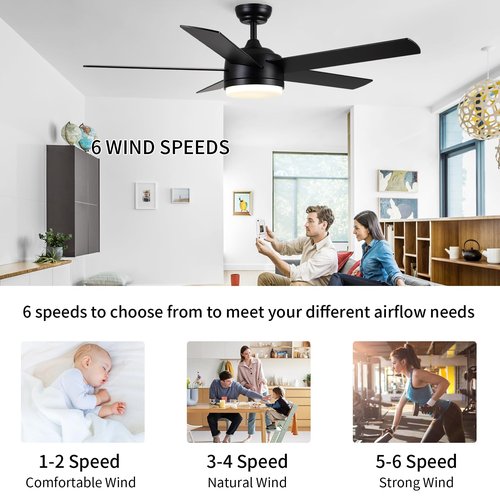 YUHAO 52 Inch Black Ceiling Fan with Light and Remote Control.Noiseless,Dimmable,3CCT,6 Speeds Reversible, DC Ceiling Fans for Indoor or Covered Outdoor