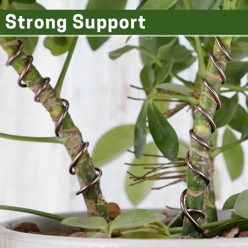 ZELARMAN Bonsai Training Wire Set of 4 - Total 128 Feet (32 Feet Each Size) 3 Size - 1.0MM, 1.5MM, 2.0MM - Corrosion and Rust Resistant