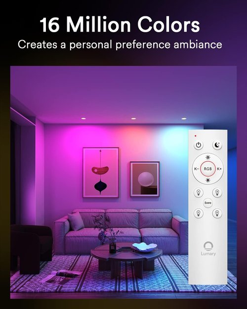 Lumary BT Remote Controller (Exclusive for Lumary Smart Recessed Lighting), Turns On/Off, Dims or Brightens, Color Changing, Group Control, Requires App, for Home Lighting, Living Room, Bedroom