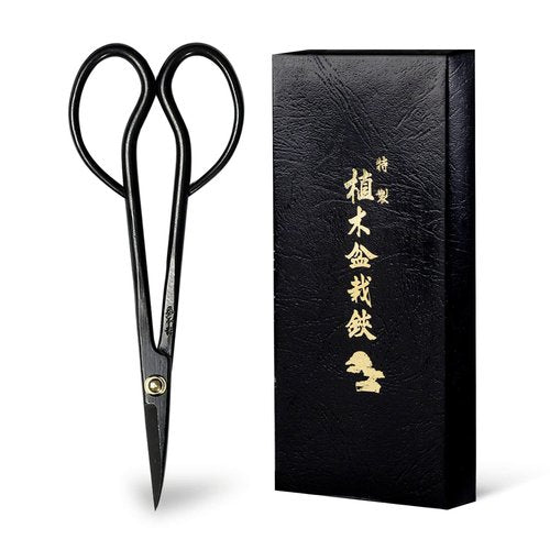 Wazakura Satsuki Bonsai Scissors Made in Japan 7 inch (180 mm), Japanese Bonsai Garden Tools, Hasami Pruning Shears