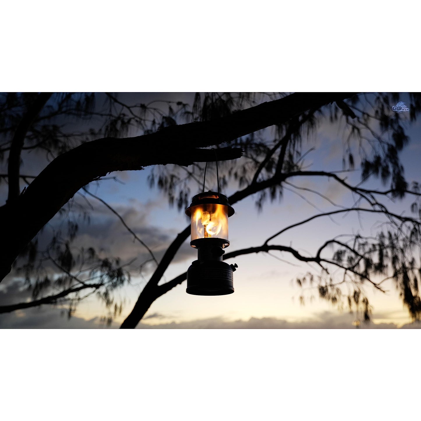 Coleman Powerhouse Dual Fuel Lantern Shines up to 800 Lumens 2-Mantle Lantern Uses Coleman Liquid Fuel or Gasoline with Adjustable Brightness Carry Handle Mantles & Funnel Included
