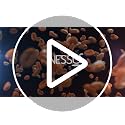 Nessus Reusable Vertuo Capsule Kit – Black, 1 Holder + 100 Foil Seals + Brush