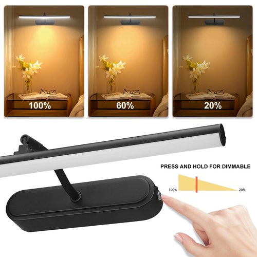 RAIFOOLLY Picture Light,3AA Battery Wall Lights,Wireless Art Lights for Paintings,Remote Control Accent Light with Timer and Dimmable for Frame,Portrait,Mirror-Black