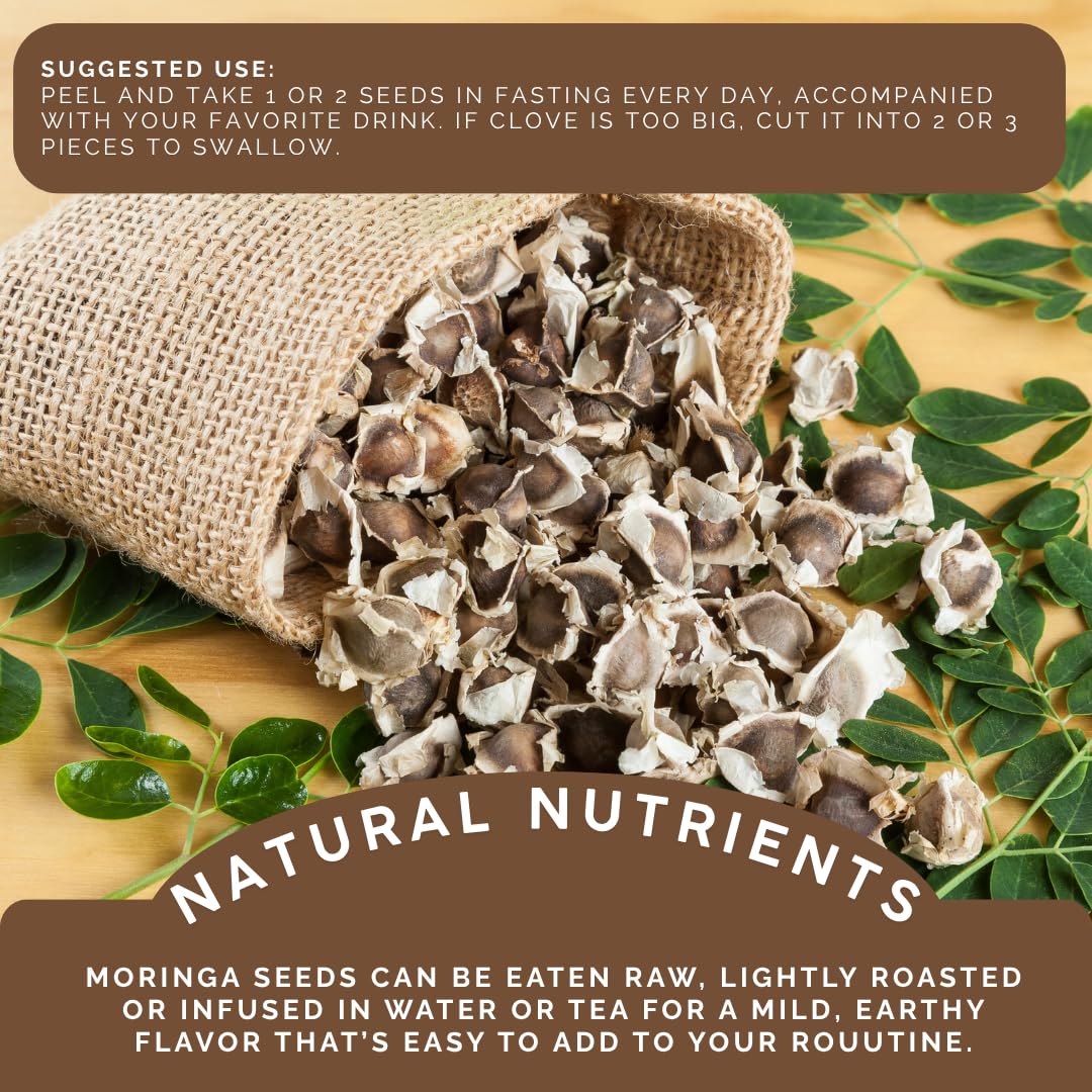 Green Royalty Moringa Seeds (350 + Count) – 100% Natural Non-GMO Herbal Seeds – Nutrient-Rich Superfood for Daily Balance – Sugar Free, Caffeine Free, Gluten Free – 2-Month Supply