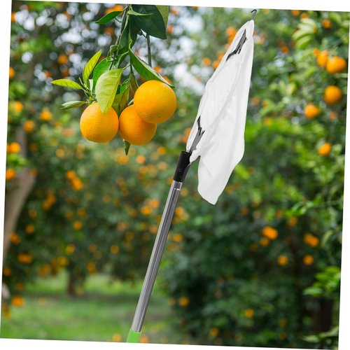 TOYANDONA 1set Extendable Fruit Picker Padded Basket Ergonomic Design for Easy Pear and Citrus Harvesting Adjustable Handle Tool for Efficient