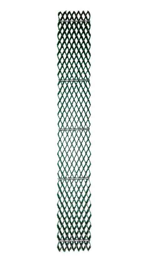 Cody James Dymondback Horse Rasp REFILL ONLY - Choose FINE, MEDIUM or AGGRESSIVE (AGGRESSIVE)