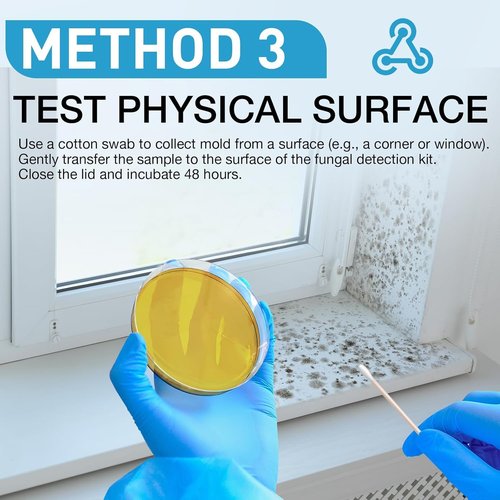 lkiochil Mold Test Kit for Home - 8 Simple Detection Tests for Surface Mold, HVAC System & Indoor Air Quality - DIY Black Mold Detector with Mold Identification Guide, Fast & Reliable Results