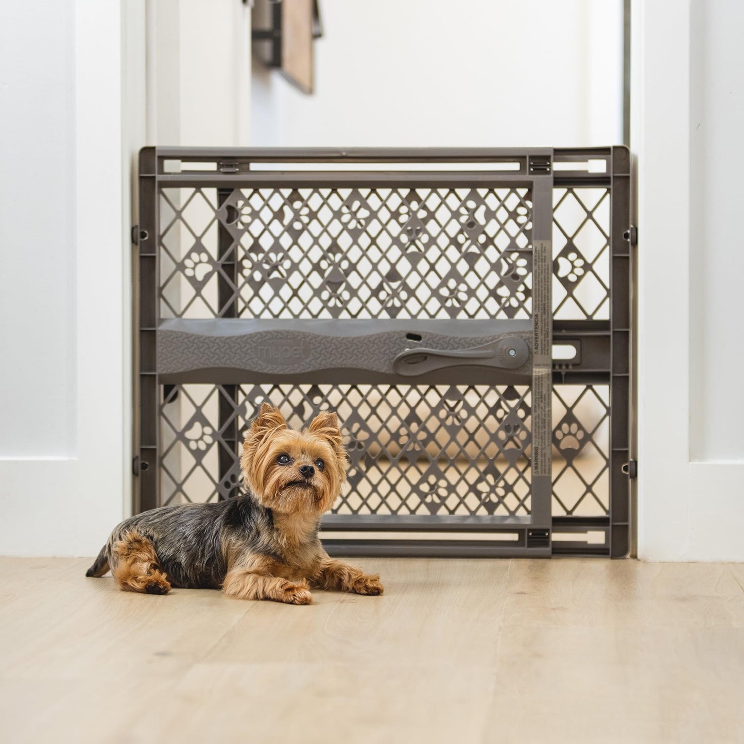 MYPET Paws Portable Pet Gate: 26-40" Wide Expandable, Pressure Mounted No Tools Needed, Durable Dog Gate for Doorways, Made in USA, 23" Tall, Fieldstone Gray