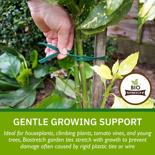 Biostretch Soft Garden Plant Ties for Indoor & Outdoor Plants - Strong & Stretchy Cut-to-Length Plant Tape for Climbing Plants, Tomato Vines & Home Gardening (65 ft / 20M)