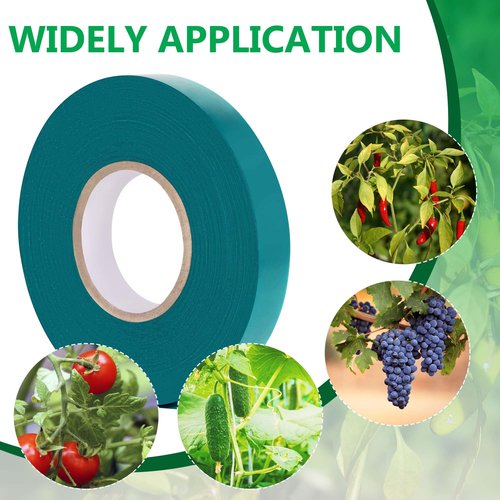 Generic Stretch Tie Tape Roll, 2 Pack Total 300 Feet 1/2"" Garden Tie Tape Thick Sturdy Garden Plant Ties Green Vinyl Plant Ribbon Gardening Tools Green Garden Roll for Indoor Outdoor Patio Plant Use