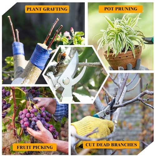 30Pcs Pruning Shears for Gardening, Beige Garden Clippers Handheld Heavy Duty Plant Scissors Bypass Pruning Shears for Gardening Yard Hedge Flowers Tree Trimming Plant Cutter