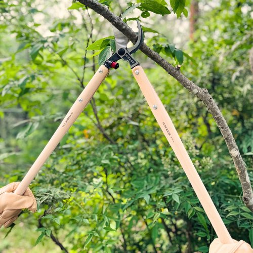 Hickok Heavy Duty Tree Lopper – Long Reach Tree Branch Cutter with Hickory Wood Handles | Professional Arborist Pruning Tool Made in USA | 30-Inch